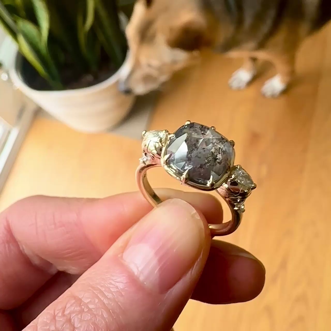 ::color_yellow ::|3.5ctw cushion rose-cut salt and pepper diamond engagement ring  with diamond accents Juliet Skull memento mori yellow gold video held in hand